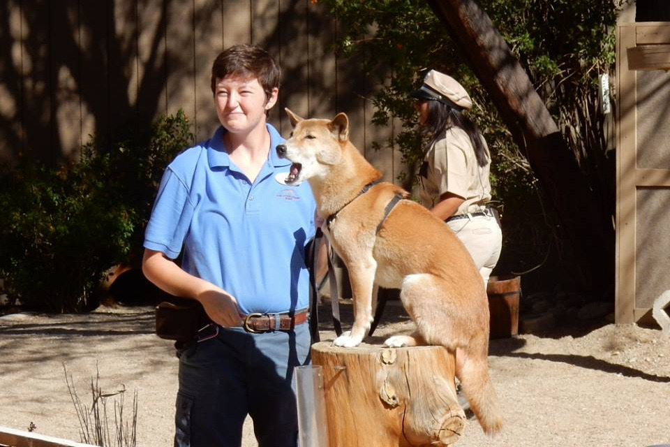 Palm SpringsThe Living Desert Zoo & Botanical Garden Near Los Angeles
